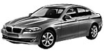 BMW F10 P20D3 Fault Code